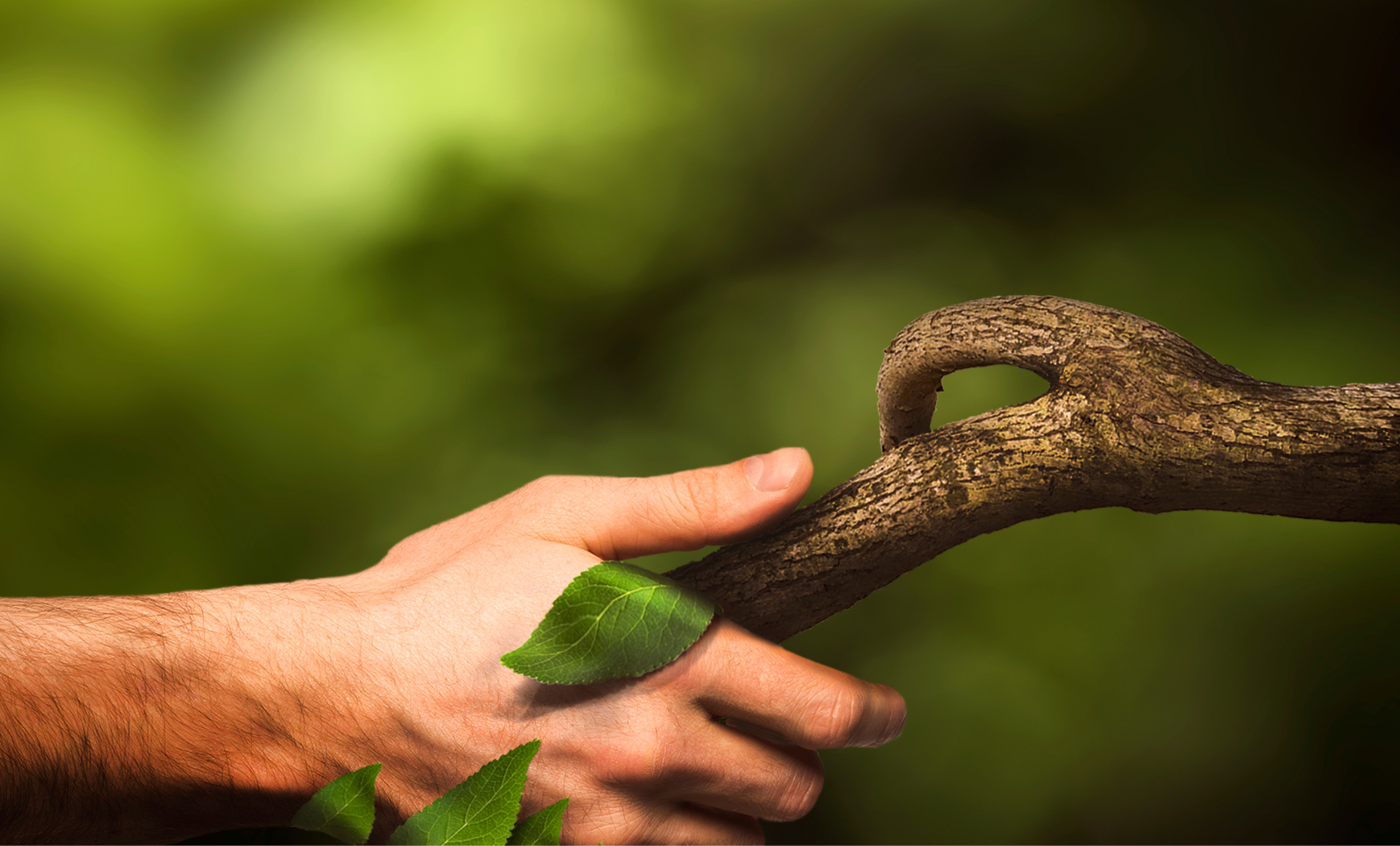 Conférence résilience et biodiversité