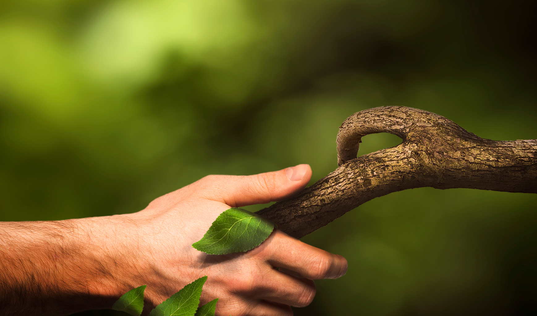 Conférence résilience et biodiversité